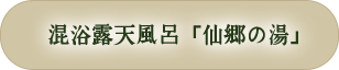 混浴露天風呂「仙郷の湯」