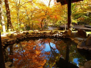 仙郷の湯